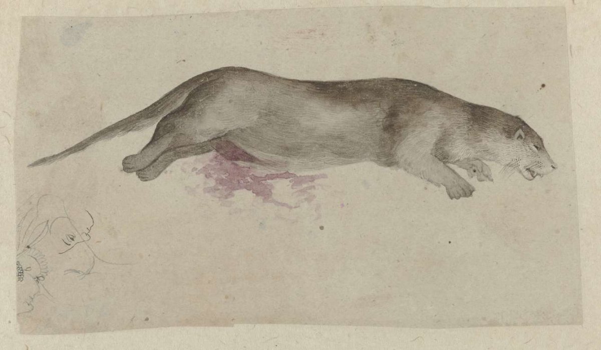 Gedood knaagdier, anonymous, c. 1800 - c. 1899
