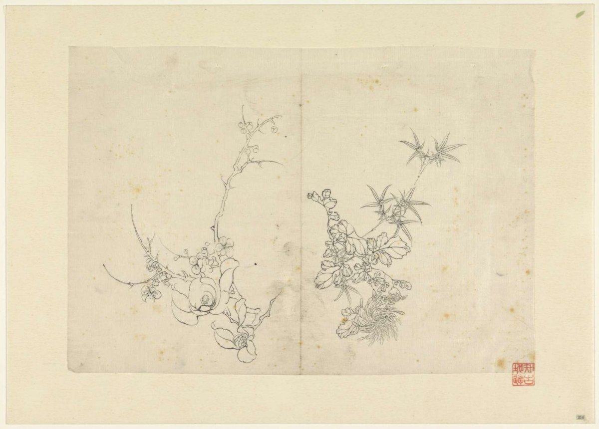 Sketch sheet with wild rose and a chrysanthemum, anonymous, 1800 - 1900