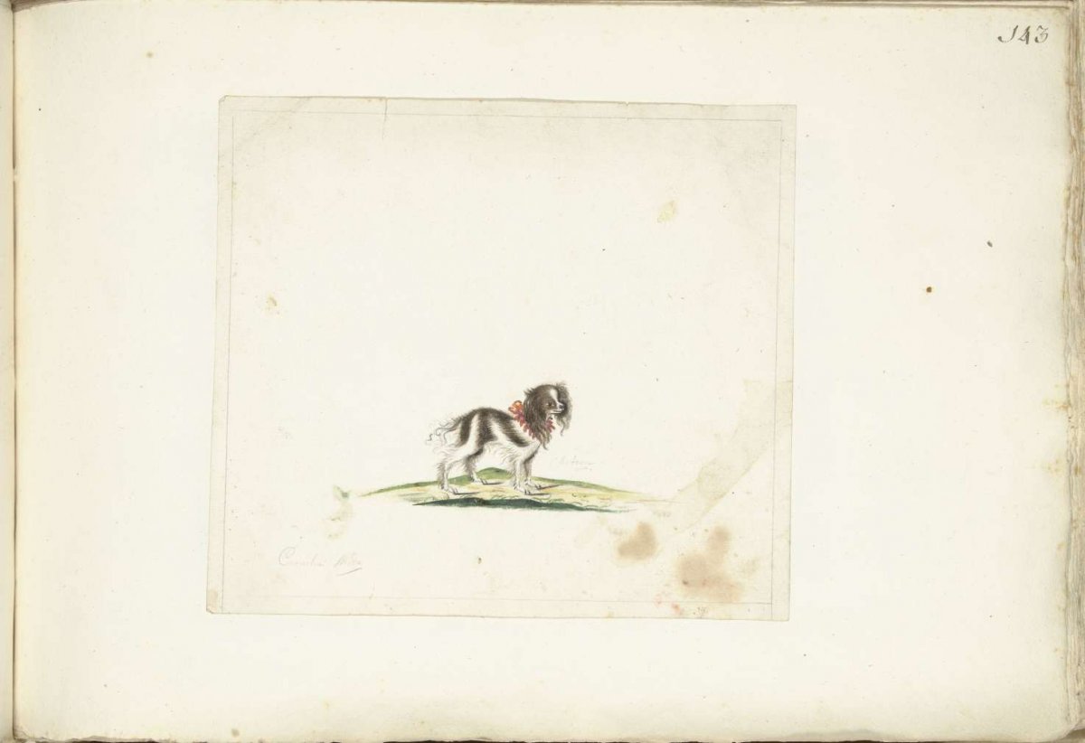 Hond Acteon, Anna Cornelia Moda, c. 1679