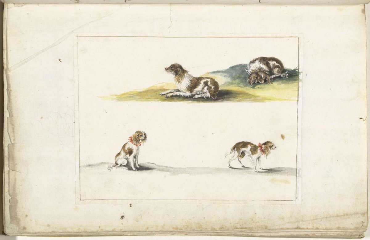 Four studies of dogs, Gesina ter Borch, c. 1660 - c. 1680