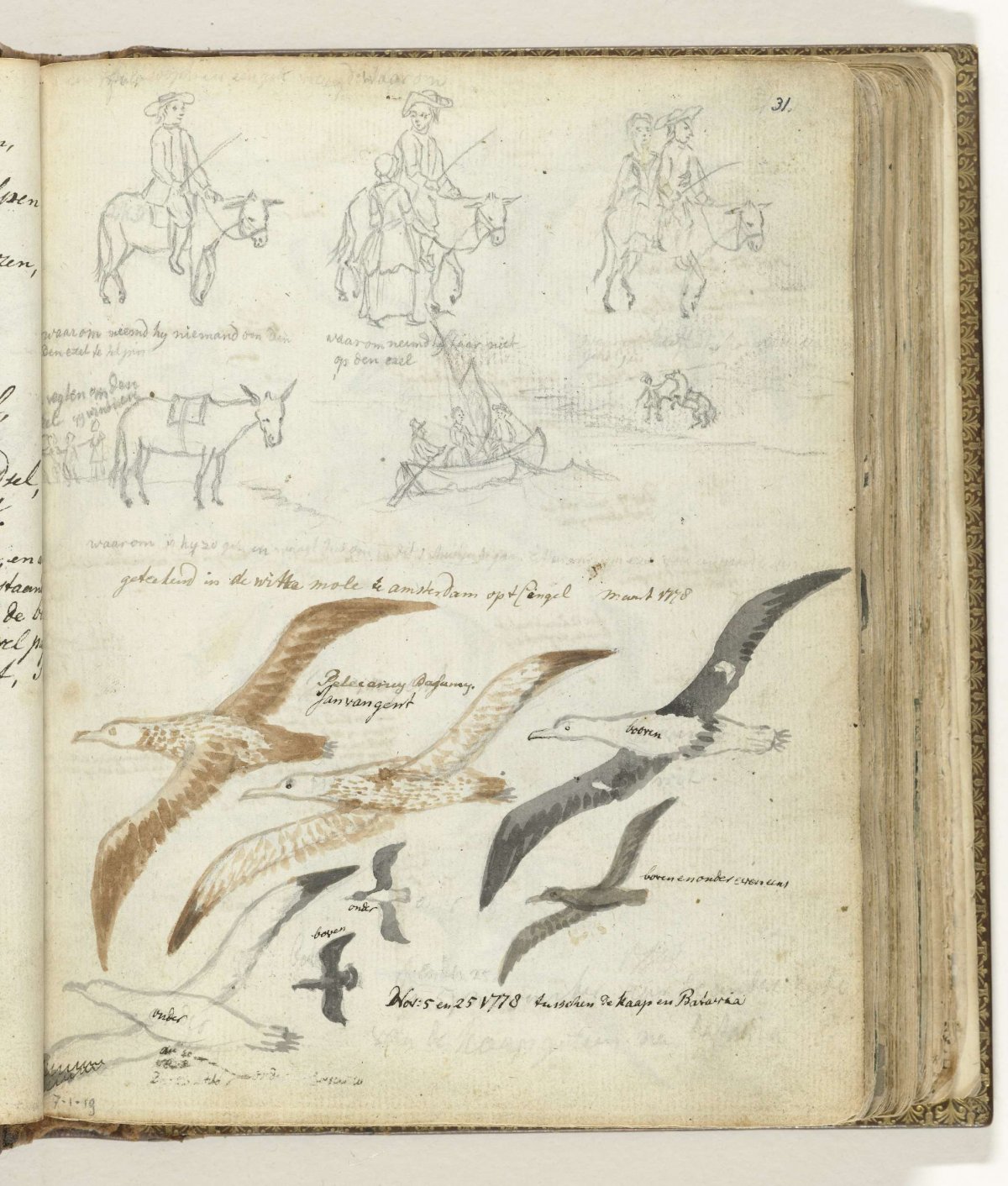Story about man and donkey. Seabirds, Jan Brandes, 1778