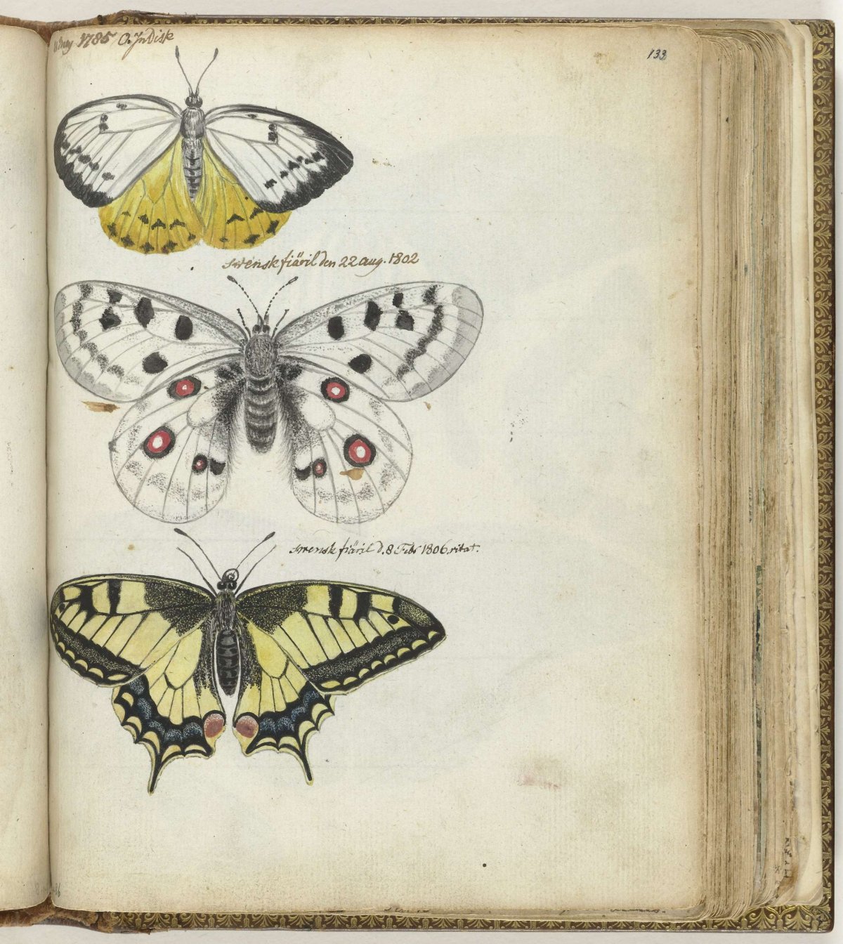 Javanese and Swedish butterflies, Jan Brandes, 1785 - 1806