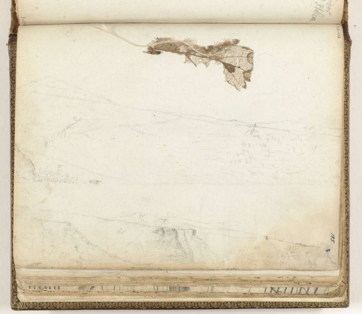 Baai Sint-Helena, gedroogd blad, Jan Brandes, 1787