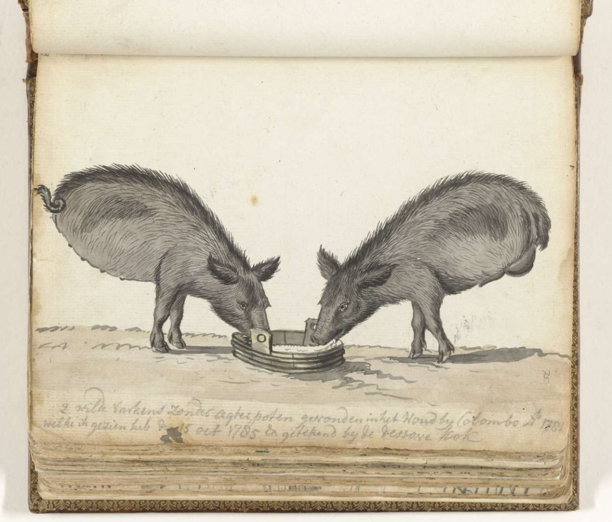 Pigs without hind legs at trough, Jan Brandes, 1785