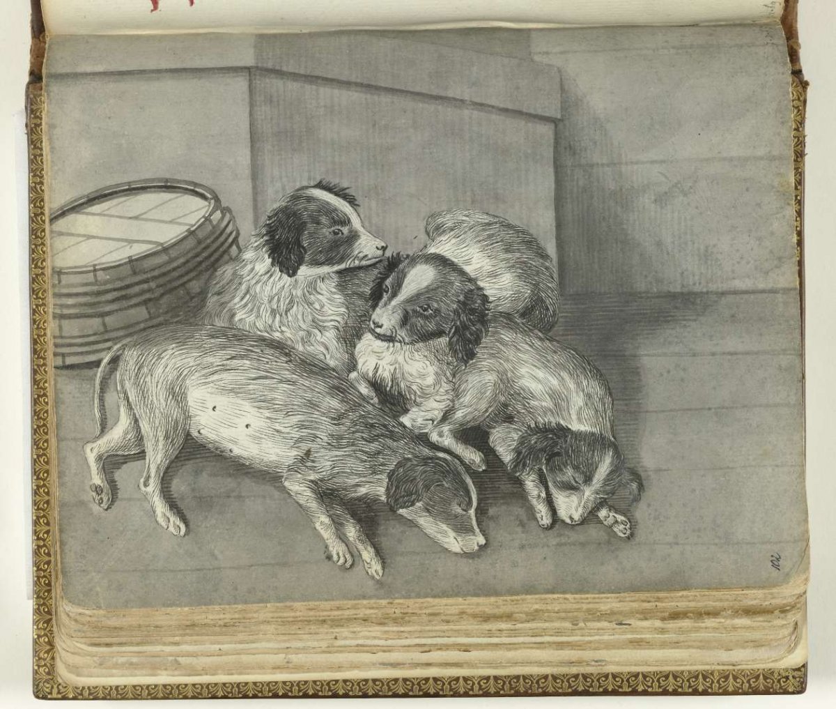 Honden, Jan Brandes, 1770 - 1808