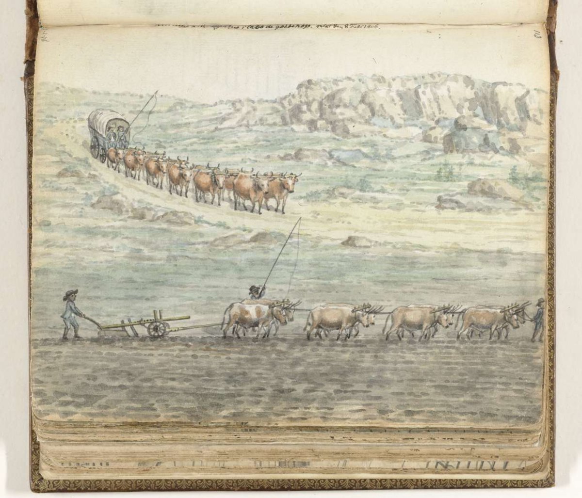 Ox team for covered wagon and for plow, Jan Brandes, 1806