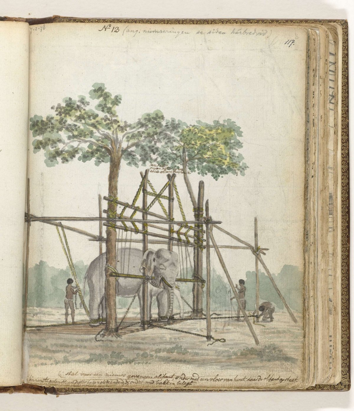 Olifantenstal, Jan Brandes, 1786
