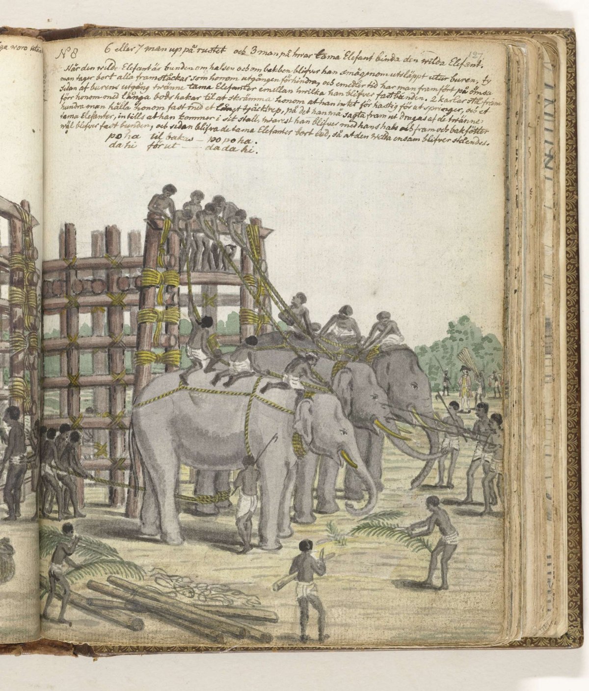 A Bound Elephant being led from the Last Section of the trap, the Prison Corral, Jan Brandes, 1785