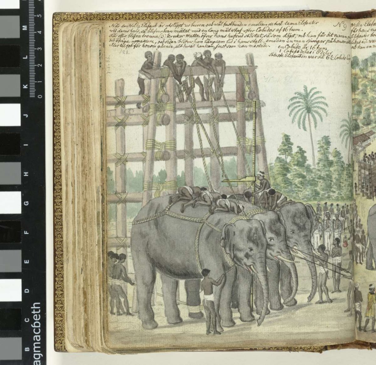 Binding elephants, Jan Brandes, 1785
