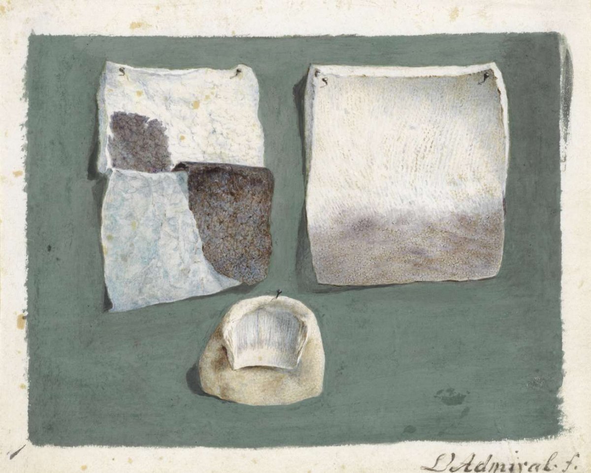 Top View of a Child’s Fontanel | Anatomical Study of Human Skin and Nail, Jan l'Admiral, 1737