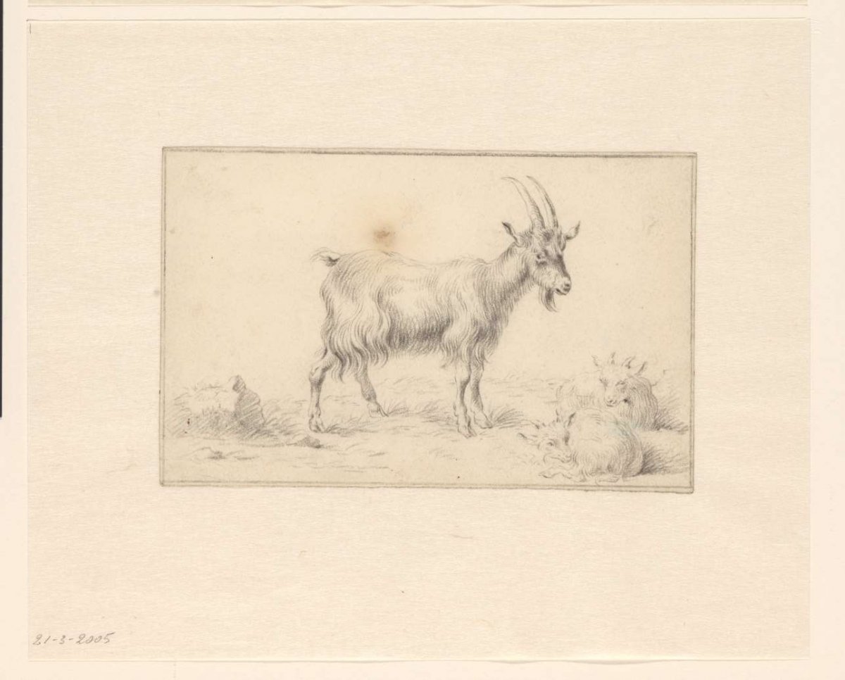 Standing goat with two bucks, anonymous, 1631 - 1733