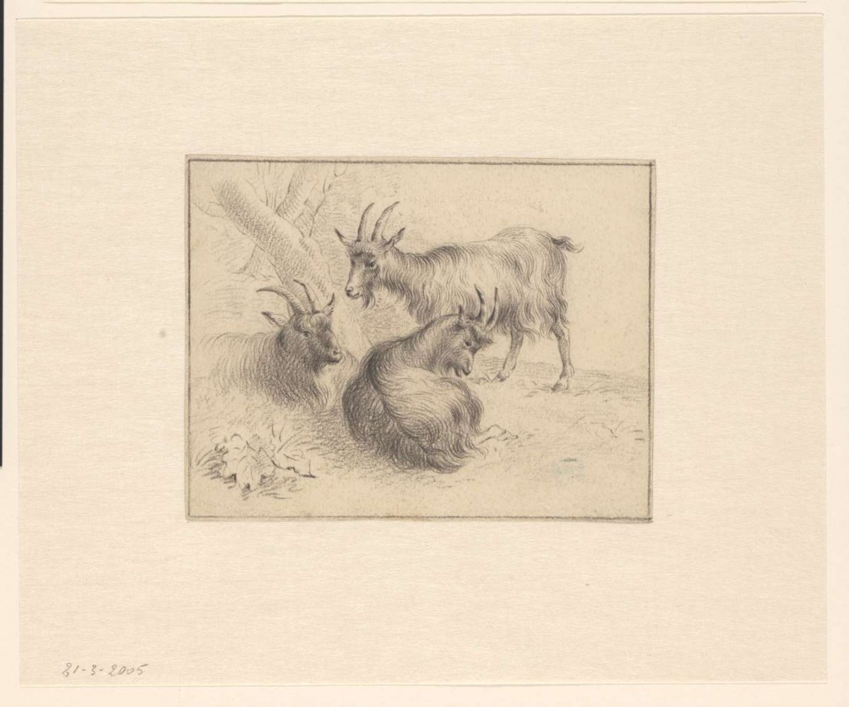 Three goats, anonymous, 1631 - 1733