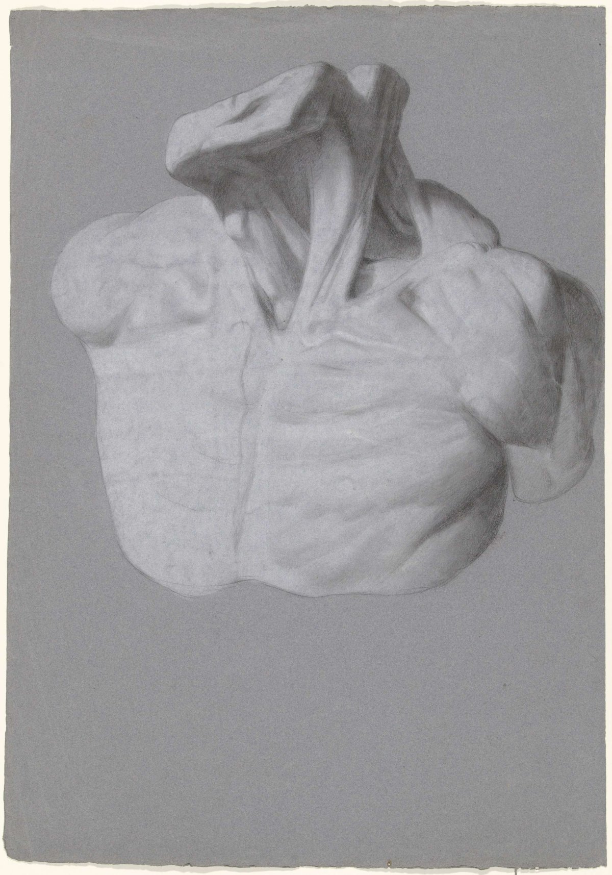 Anatomical study of chest and neck, anonymous, 1700 - 1800