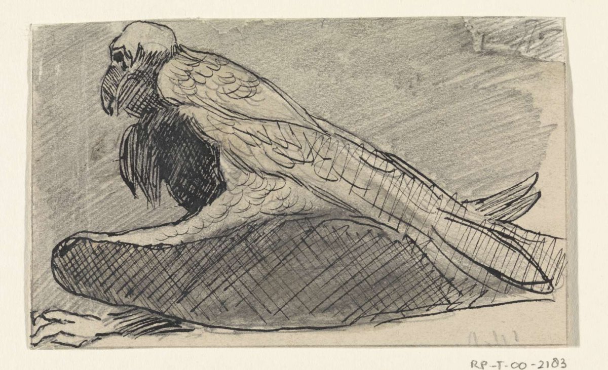 Seated Vulture, Jan van Essen, 1864 - 1936