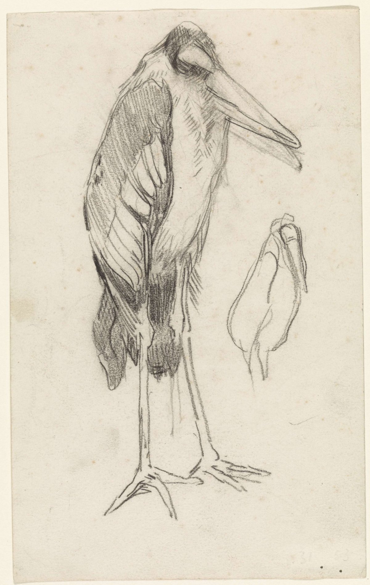 Maraboe, Jan van Essen, 1864 - 1936