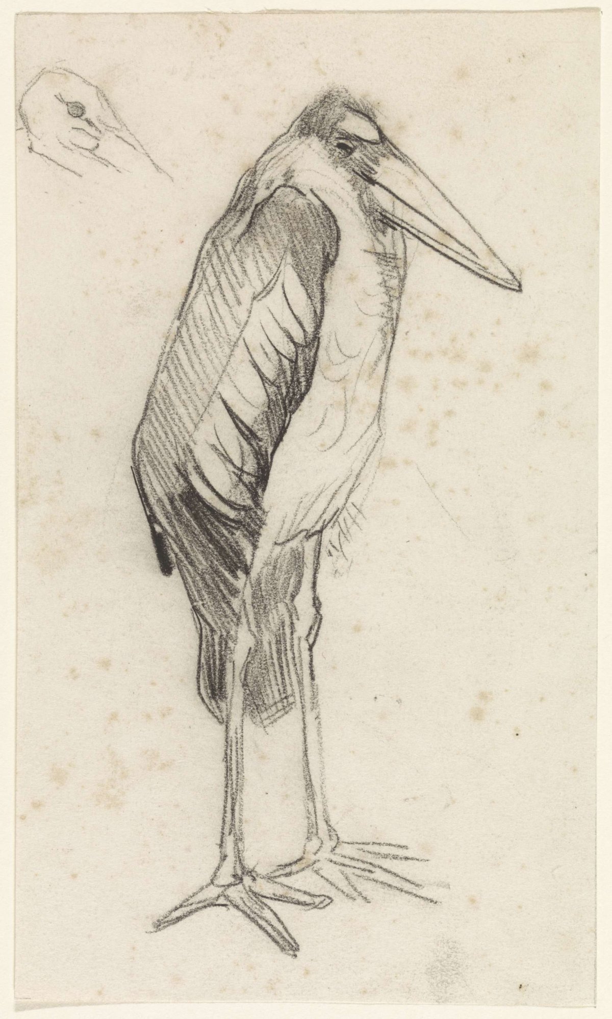 Maraboe, Jan van Essen, 1864 - 1936