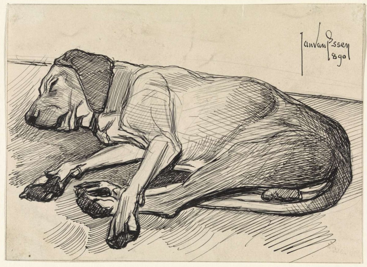 Sleeping dog, to the left, Jan van Essen, 1890