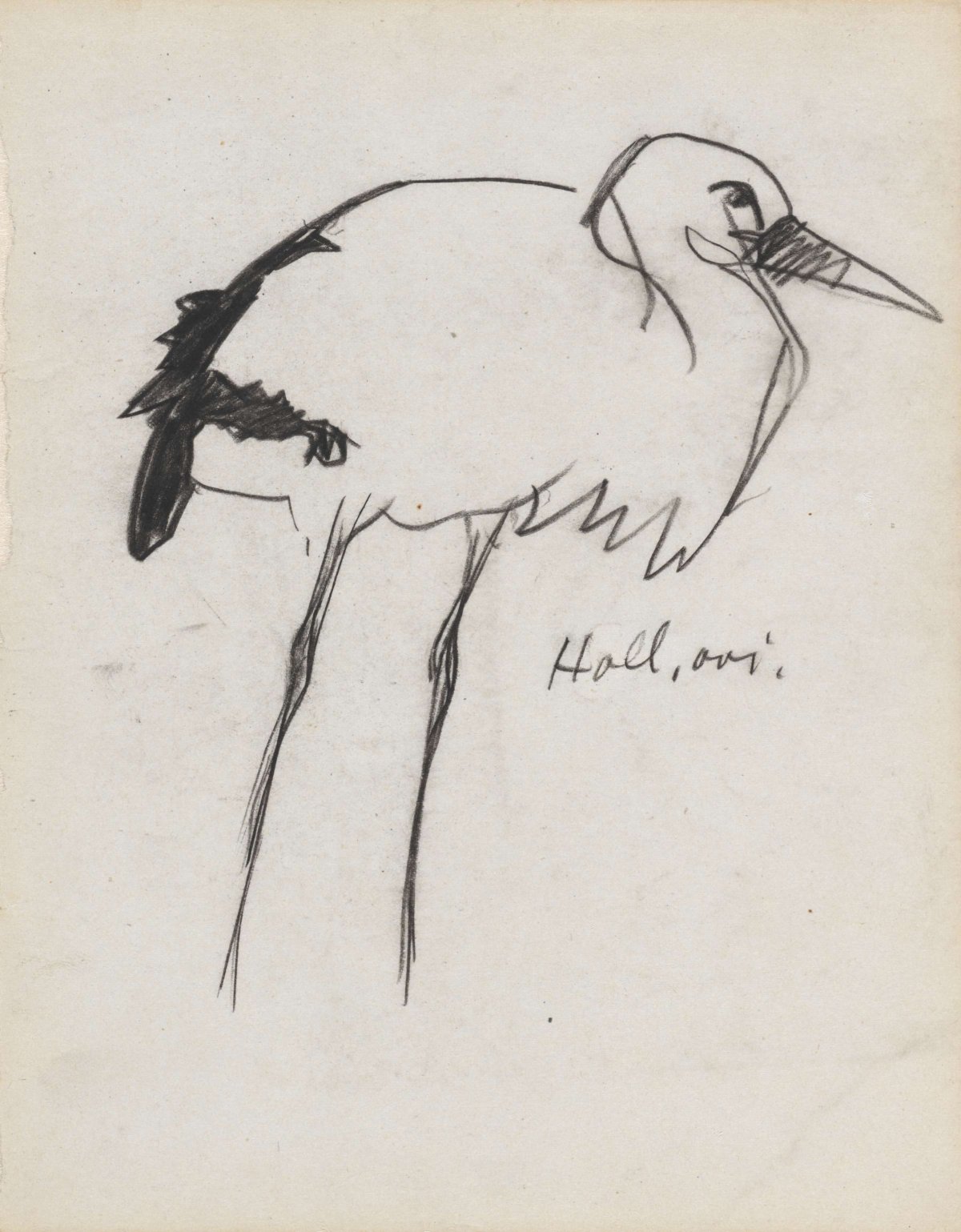 Hollandse ooievaar, Theo Nieuwenhuis, 1876 - 1951