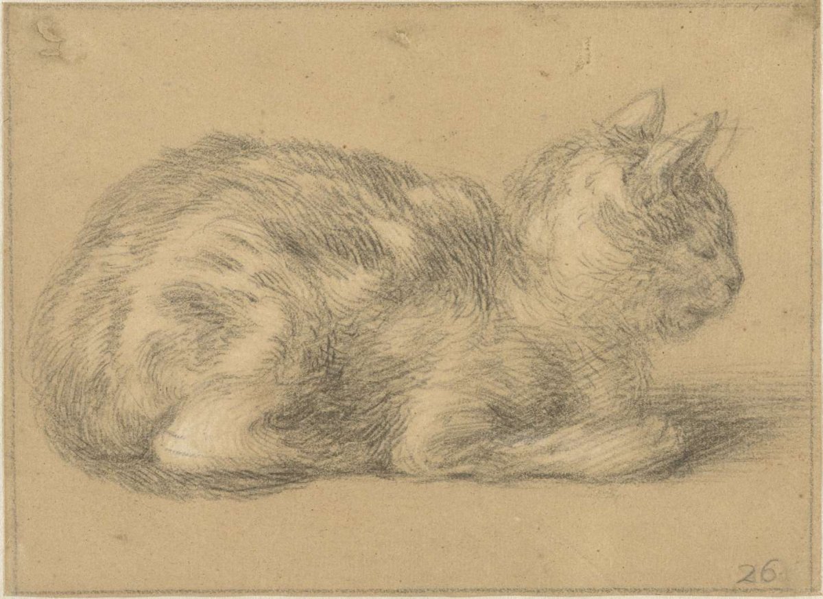 Sitting cat, to the right, Cornelis Saftleven, 1617 - 1681