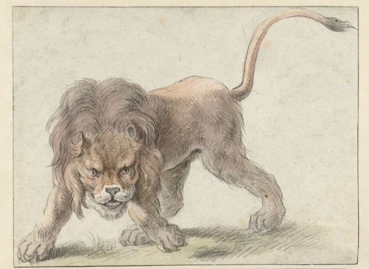 Lion, Cornelis Saftleven, c. 1626