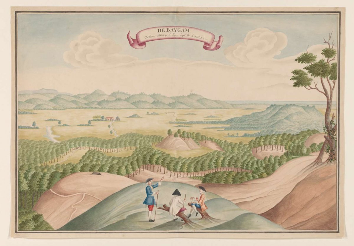 View of the Pepper Plantation in the Baygam Area, anonymous, c. 1750