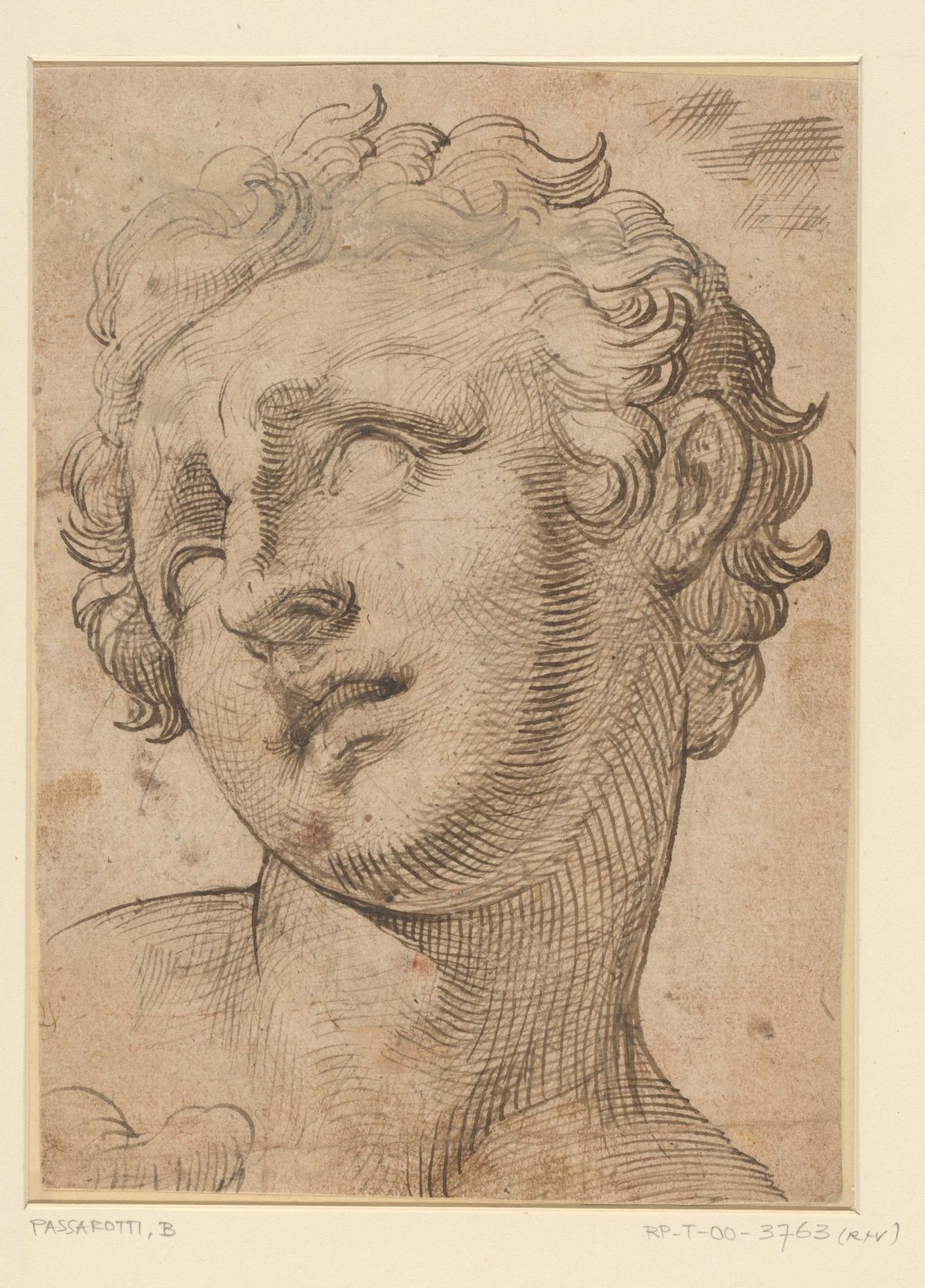 Head of a son of Laocoön, Bartolomeo Passarotti, 1539 - 1592
