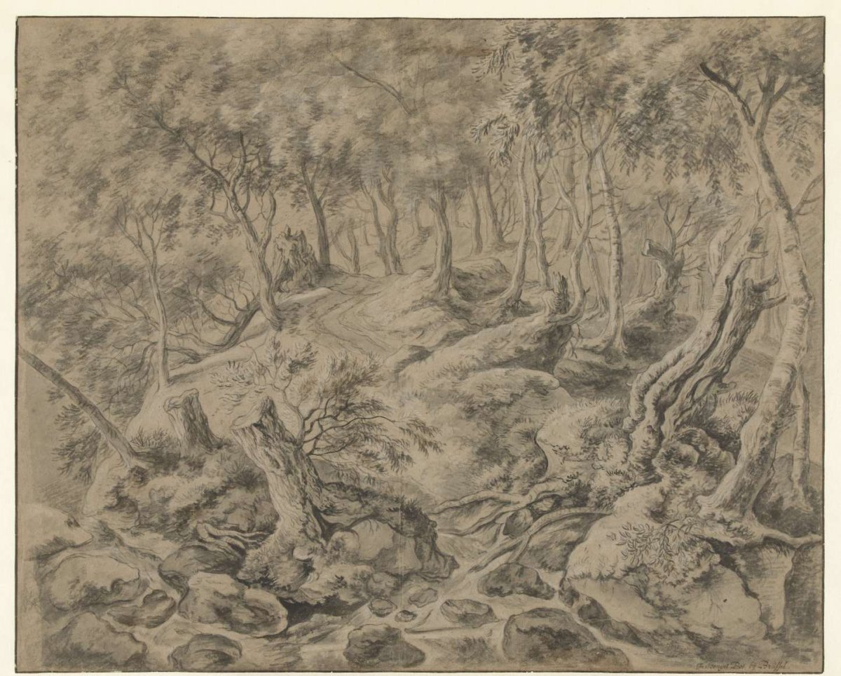 Forest view in the Bois de Soignes near Brussels, Anthonie Waterloo, 1619 - 1690