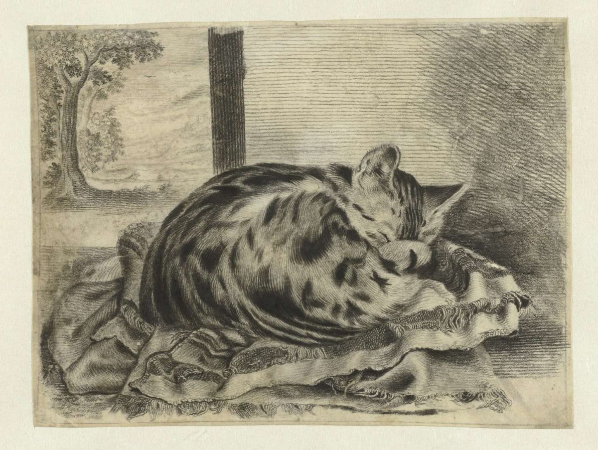 Slapende poes, anonymous, 1690 - 1700