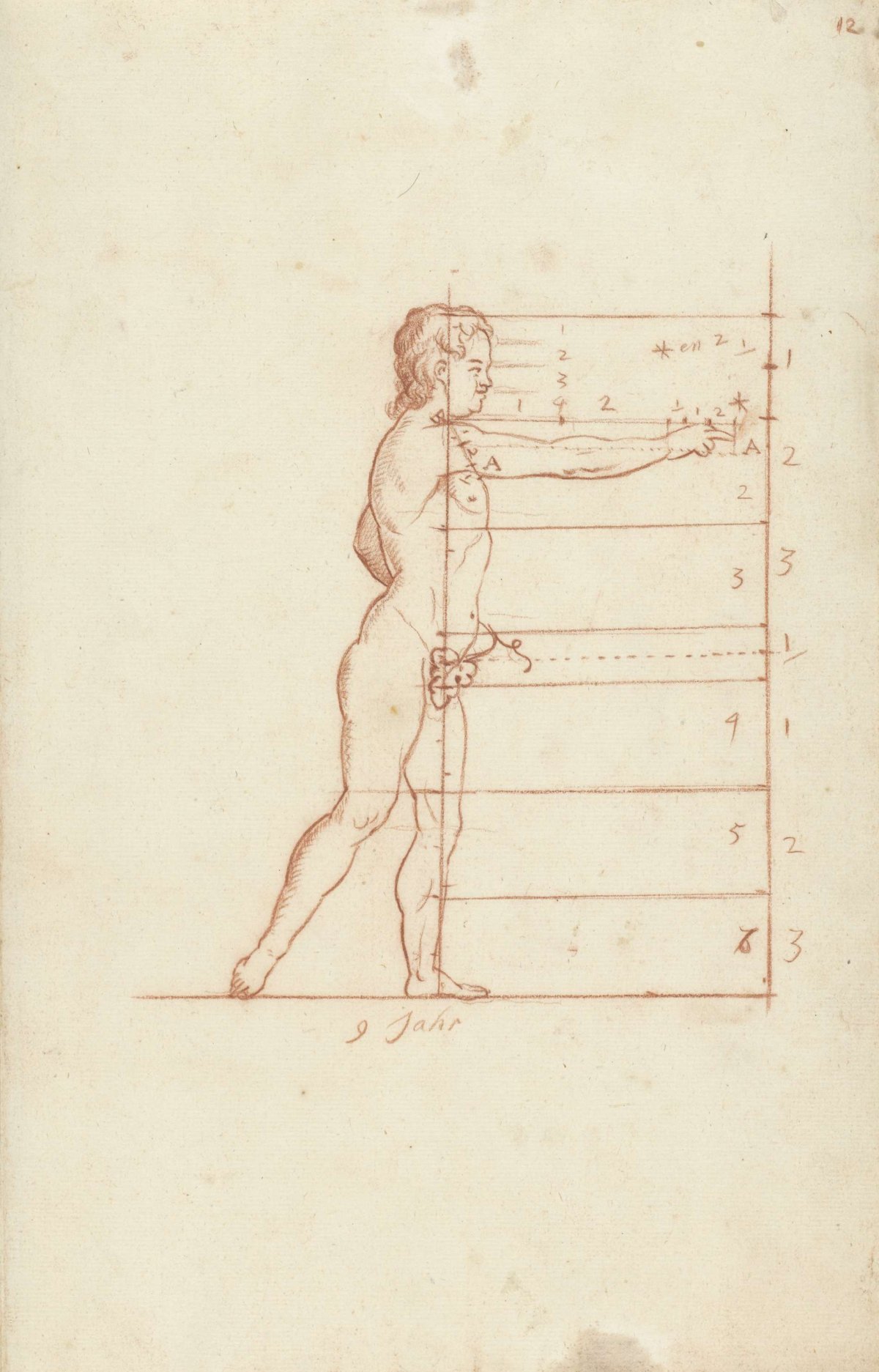 Proportion study of a nine-year-old boy, side view, anonymous, 1700 - 1800