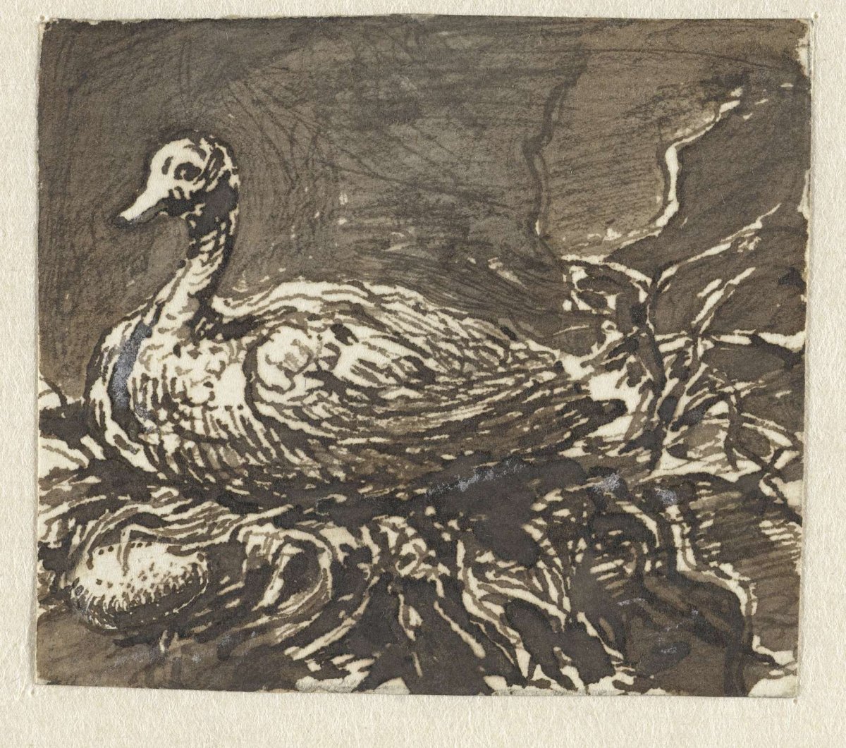 Broedende eend, Ernst Willem Jan Bagelaar, 1785 - 1837