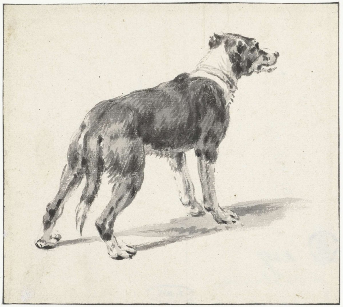 Standing dog, to the right, Pieter van Bloemen, 1667 - 1720