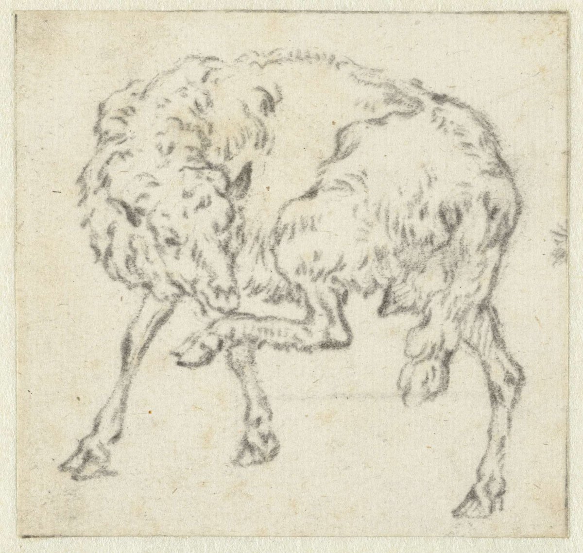 Sheep, Lifting its Left Hind Leg, anonymous, after 1670
