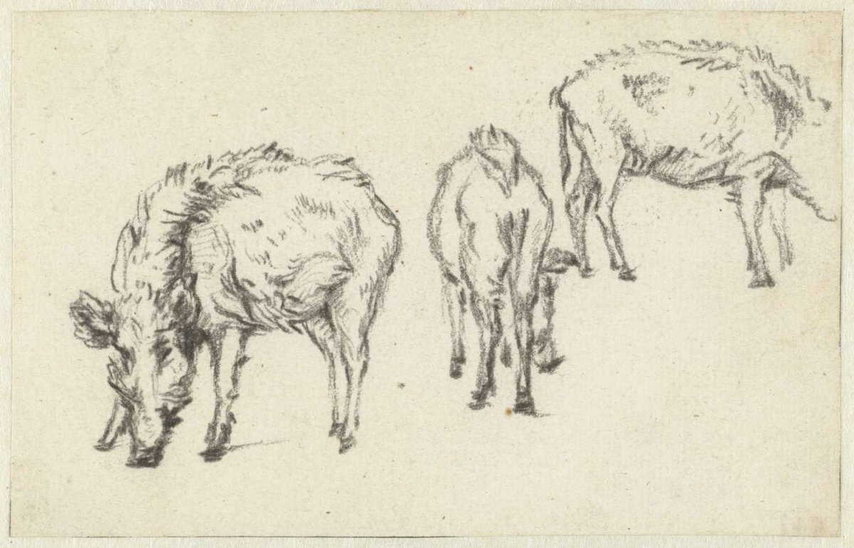 Three pigs, Karel du Jardin, 1632 - 1678