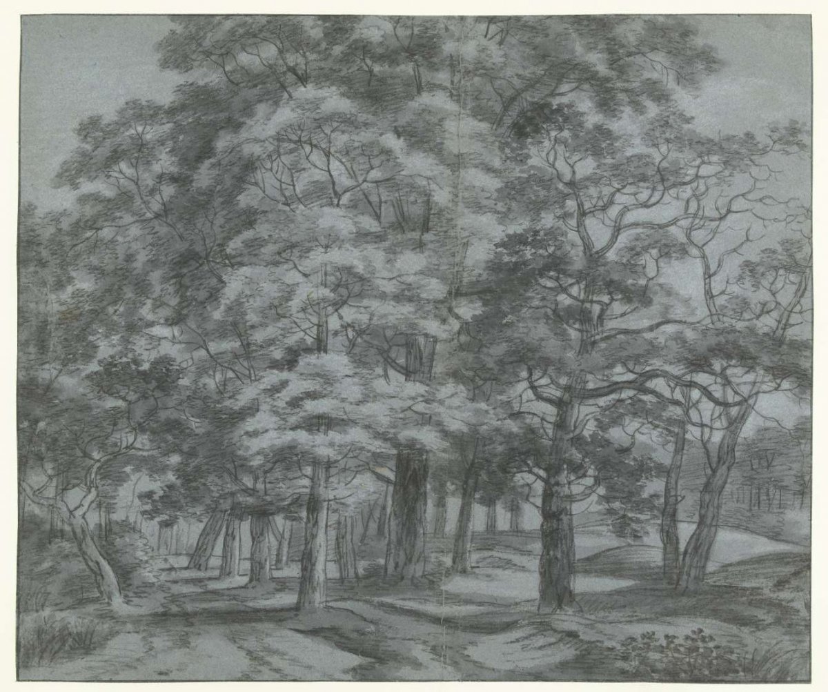 Bosgezicht, Simon de Vlieger, 1610 - 1653