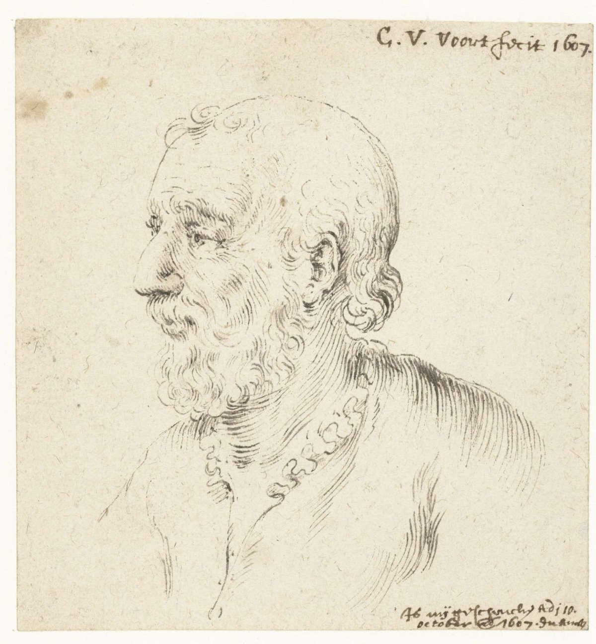 Head of man with beard, in profile to left, Cornelis van der Voort, 1607
