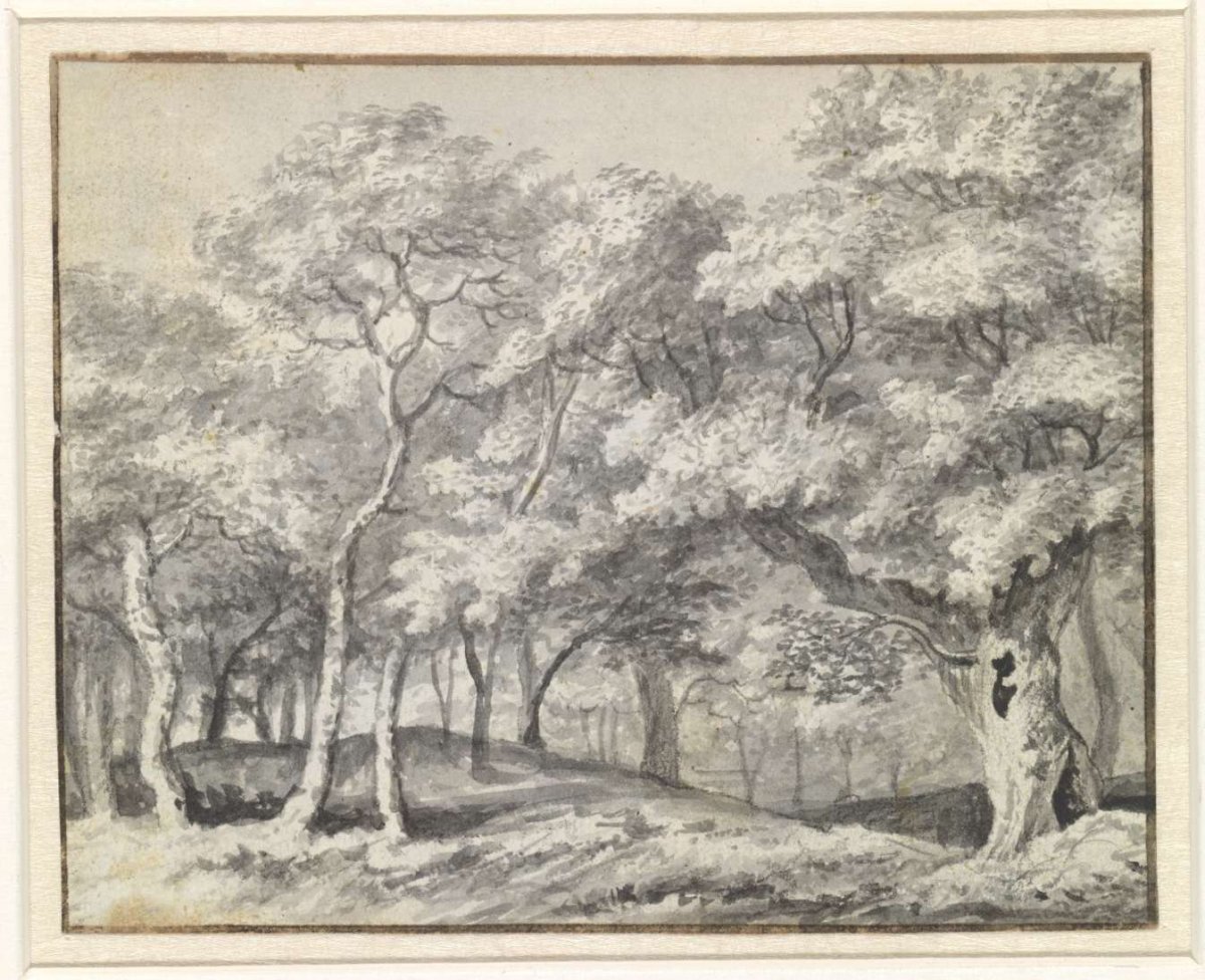 Bosgezicht, Adriaen Hendriksz. Verboom, 1638 - 1675