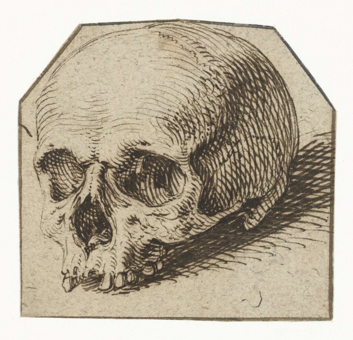 Study of a skull, Jacques de Gheyn (II), 1575 - 1625