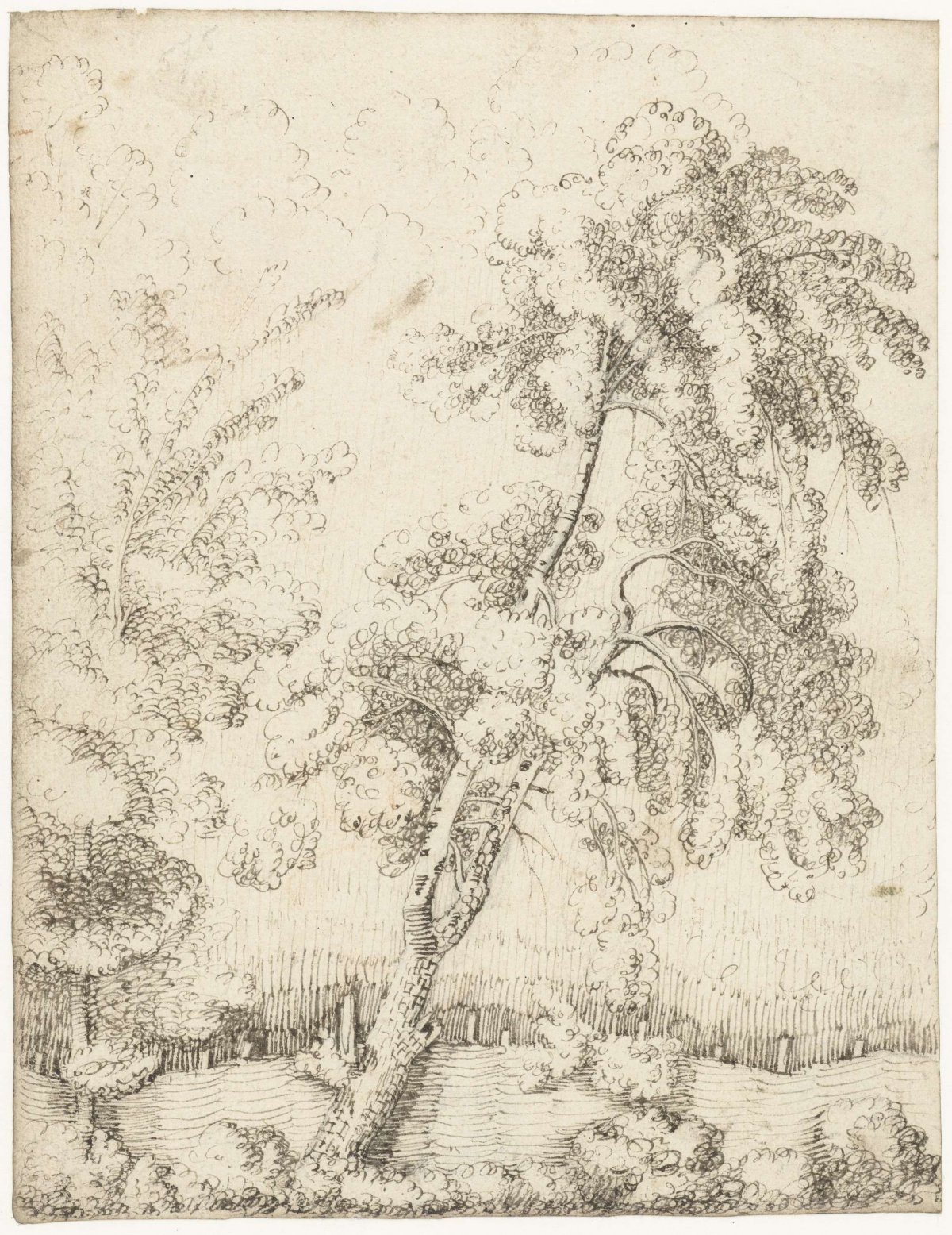 Trees at a fence, Gerard ter Borch (I), c. 1620 - c. 1625