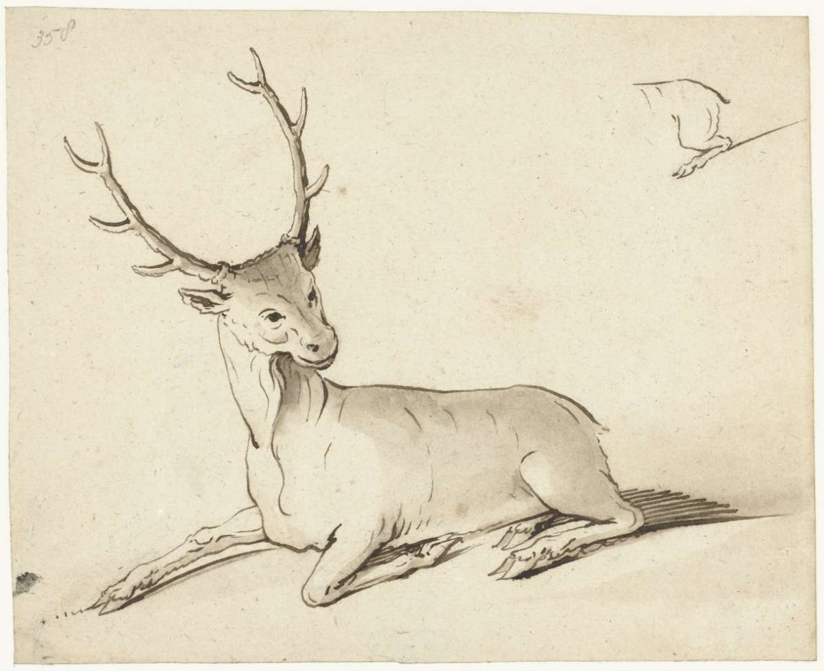 Study sheet with two deer, Gerard ter Borch (I), 1620 - 1629