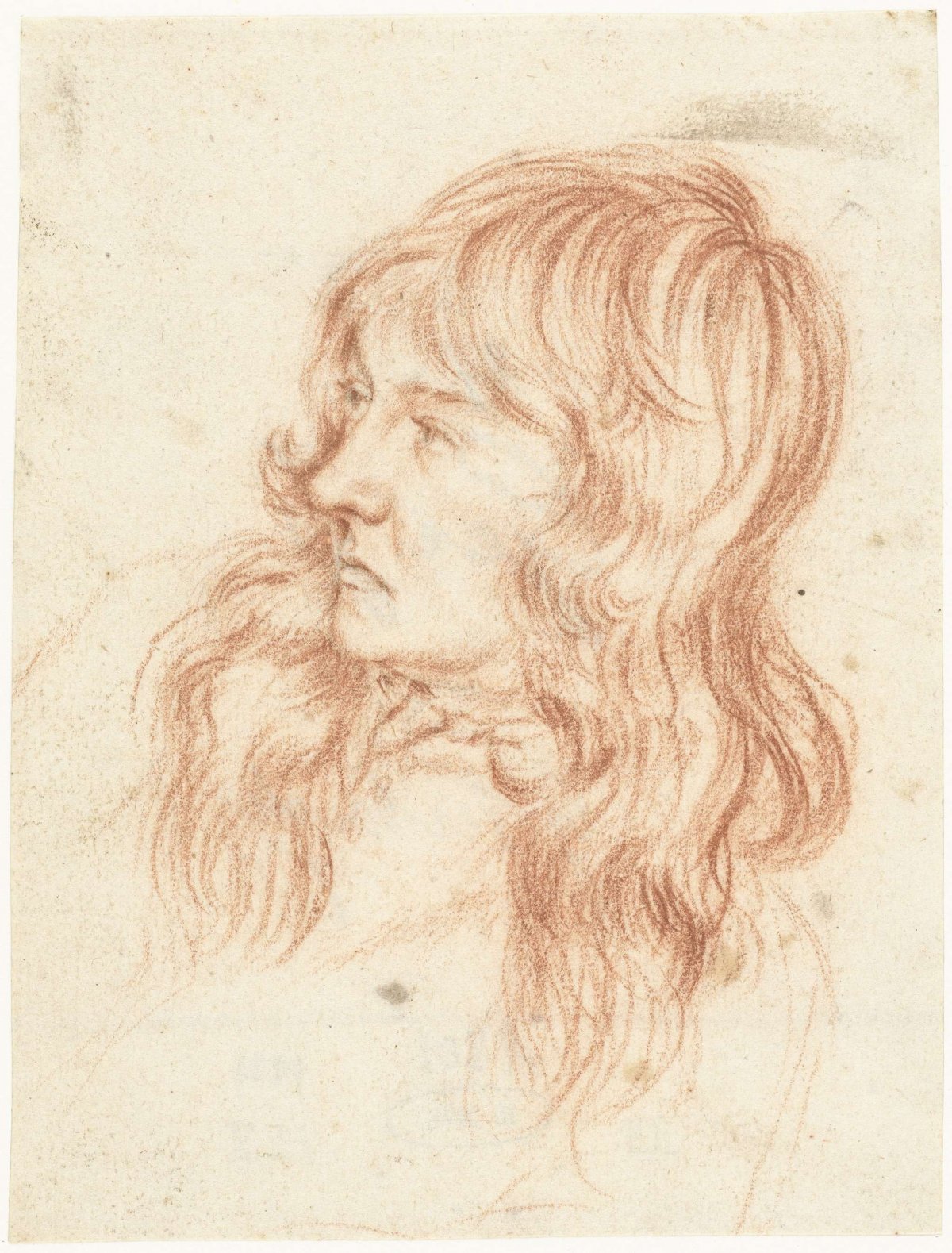 Head of a young man, to the left, Gerard ter Borch (II), in or before c. 1675