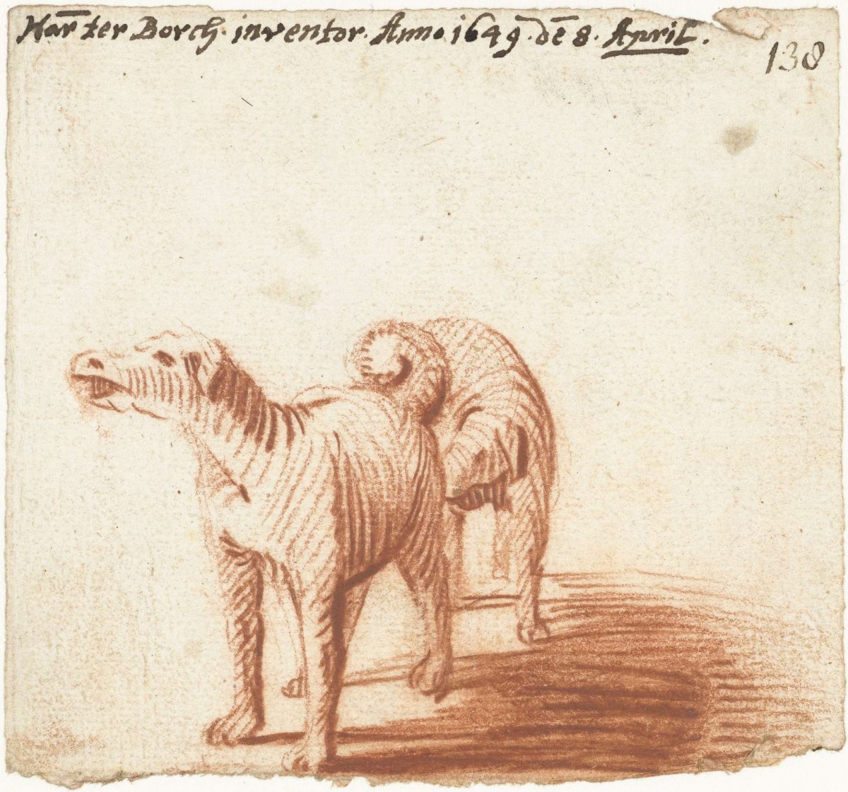 Dog sniffing another dog, Harmen ter Borch, 1649