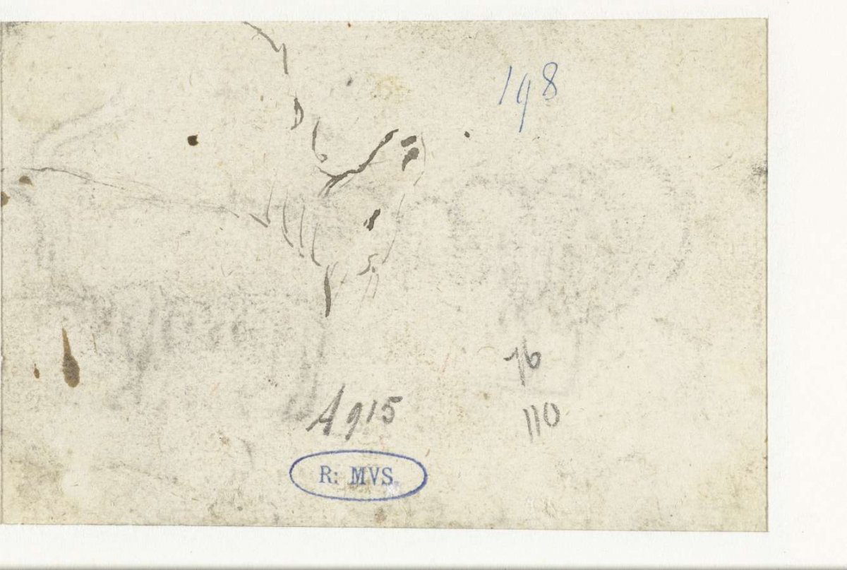 Study of part of a goat, Harmen ter Borch, 1650