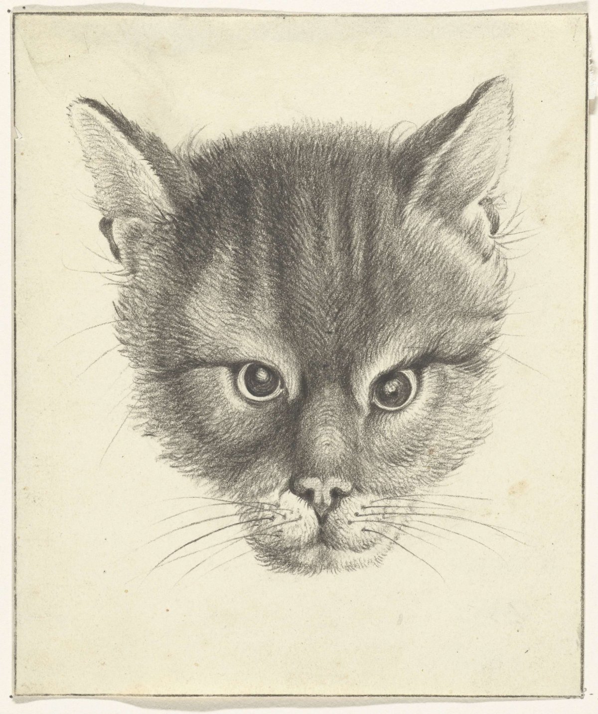 Cat's head, from the front, Jean Bernard, 1775 - 1833
