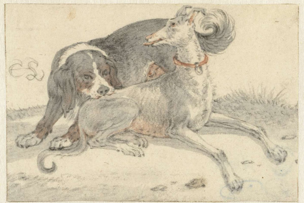 Greyhound and a partridge dog, Cornelis Saftleven, 1617 - 1681