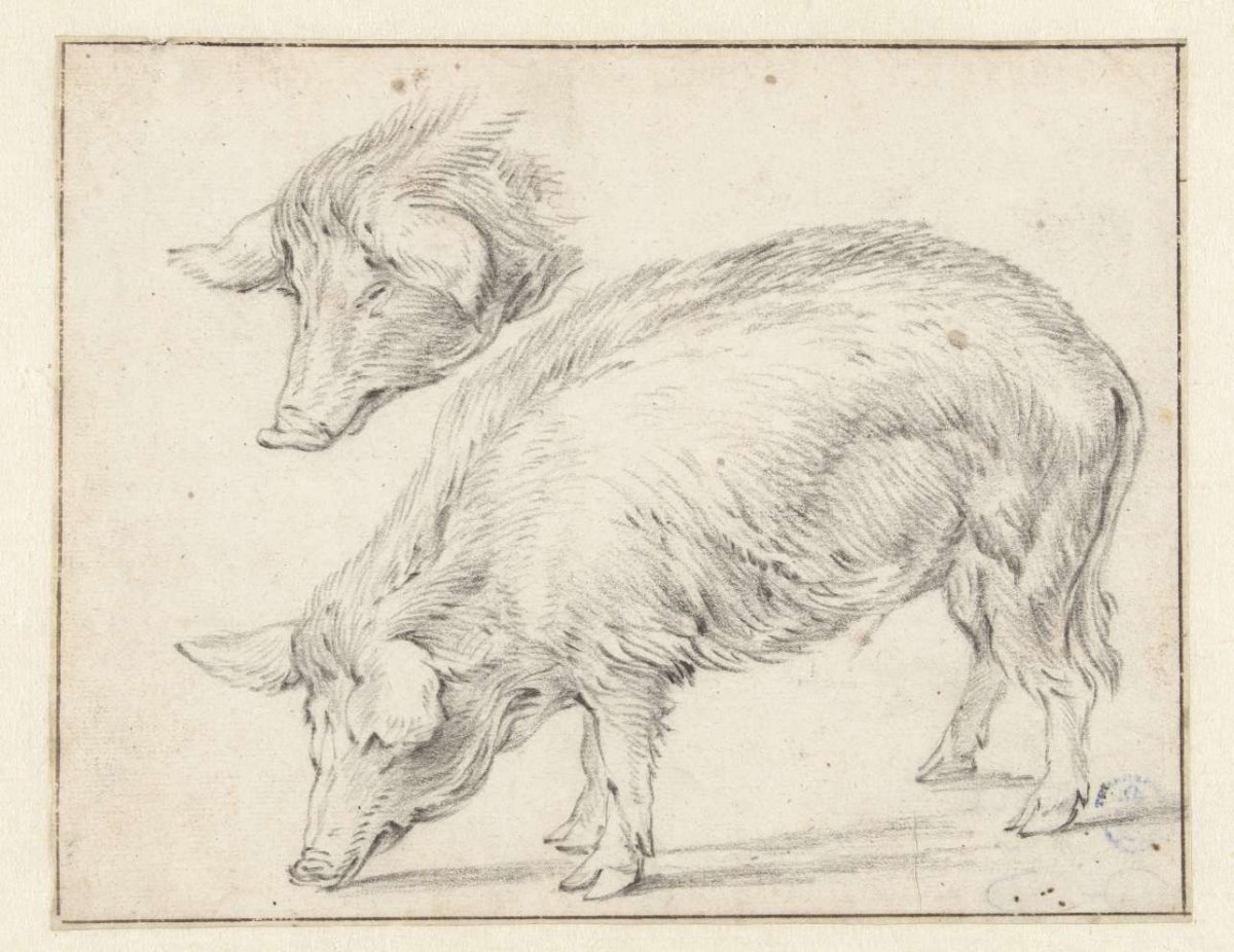 Two Studies of a Pig, Simon de Vlieger, 1630 - 1653