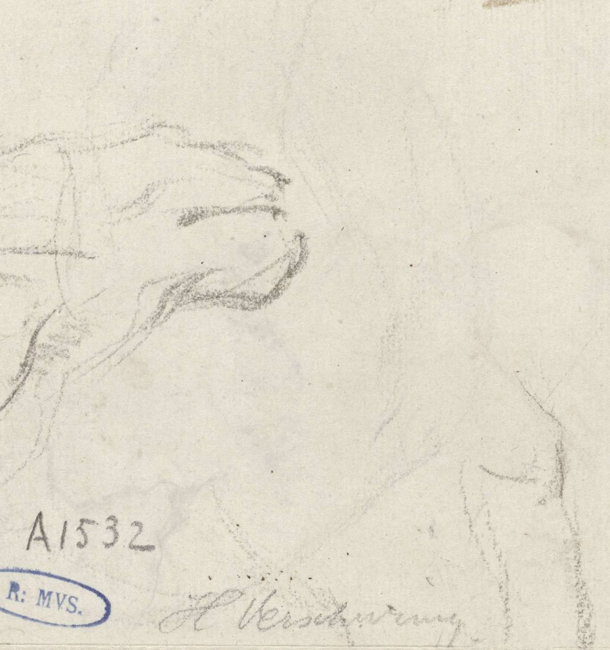 Sketches of the head of a horse, Hendrik Verschuring, 1637 - 1690
