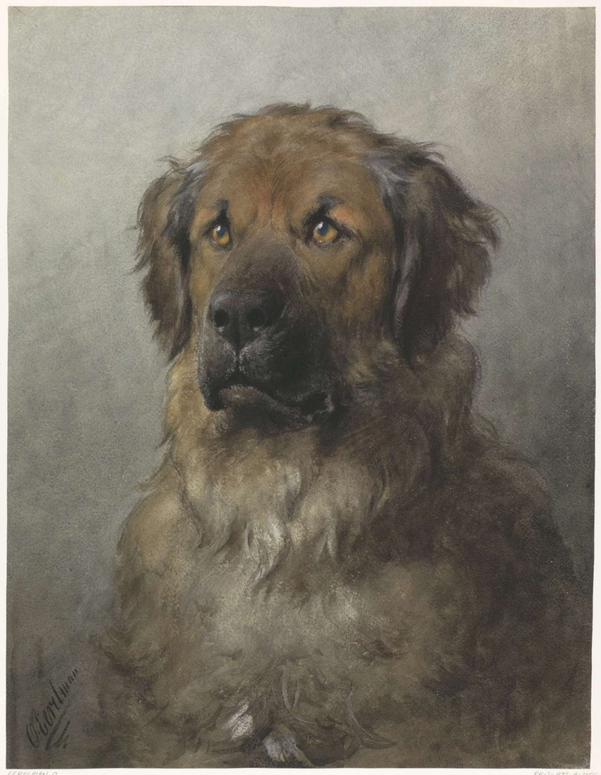 Head of a Leonberger, Otto Eerelman, c. 1880 - c. 1892