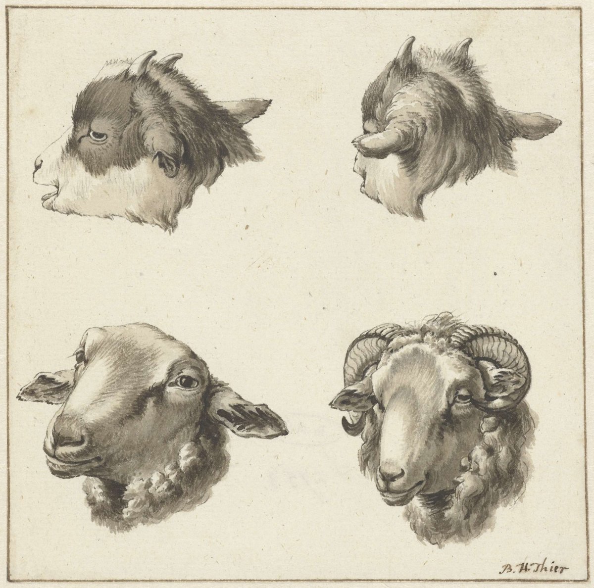 Four heads of bucks and sheep, Barend Hendrik Thier, 1750 - 1811