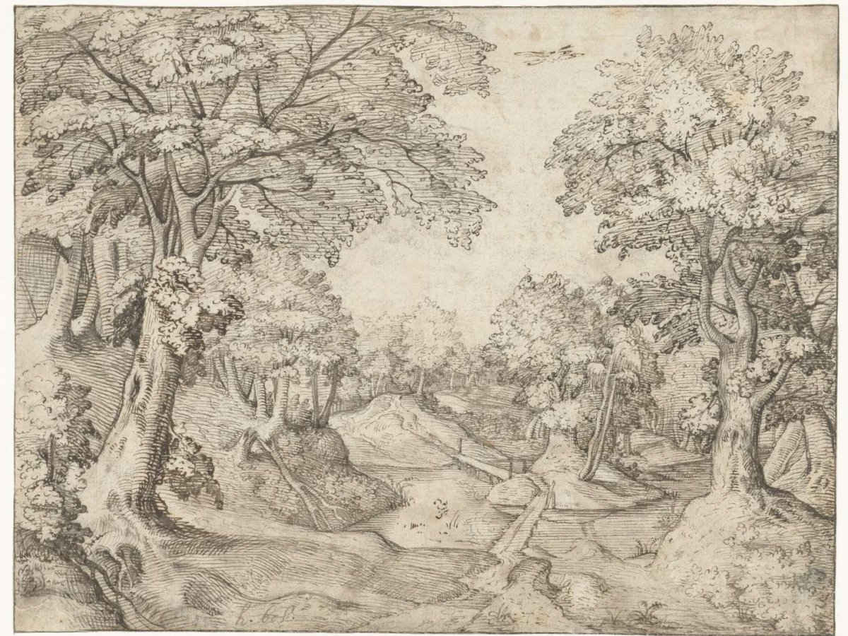 Forest landscape with a stream, anonymous, c. 1583