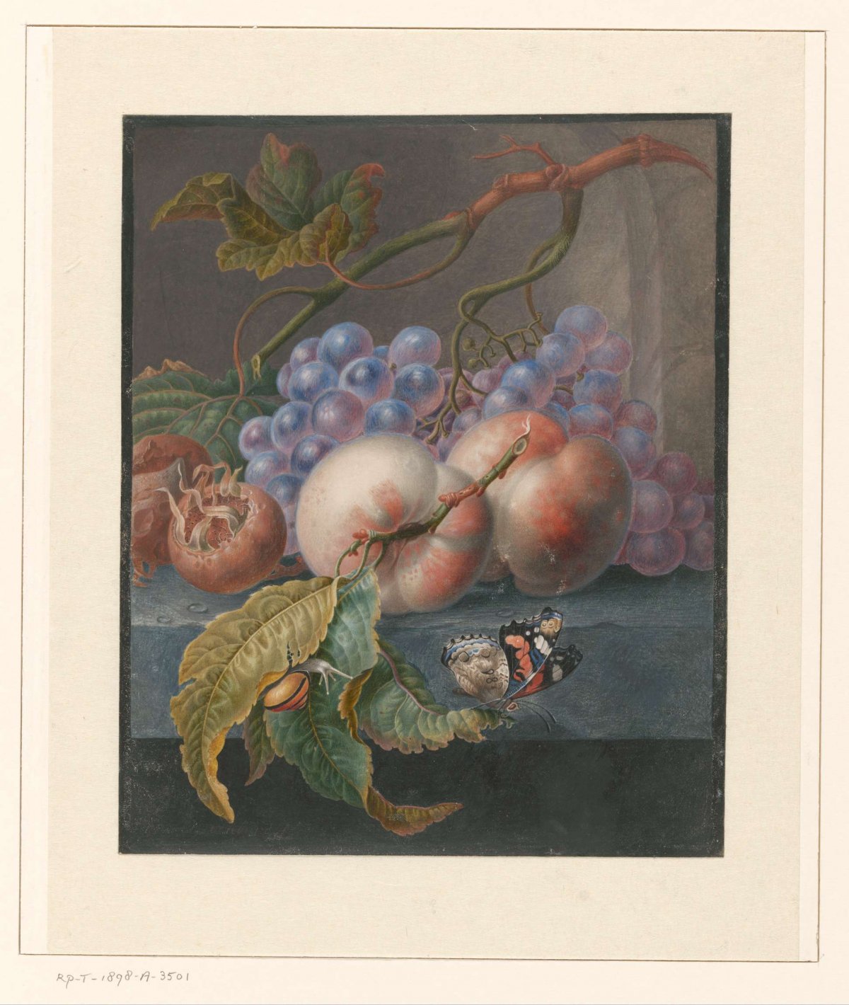 Fruit with a butterfly and a snail, Herman Henstenburgh, 1677 - 1726